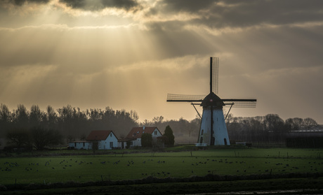 Zonneharpen