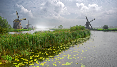 Kinderdijk