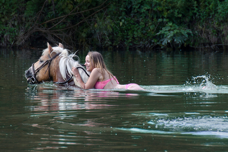 Zwemmen met paard verkleind