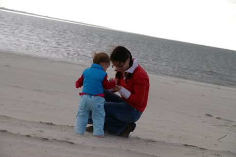 schelpen zoeken