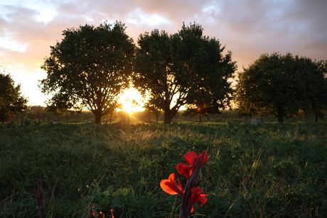 Swellendam sunset