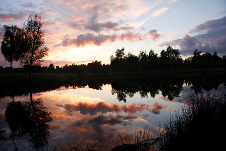 Amazing reflection