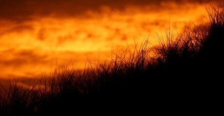 brand in de duinen