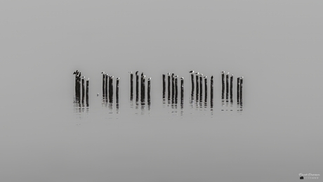 Minimalistische stilte bij de Eemshaven.