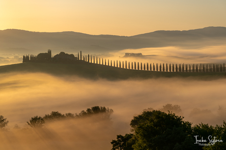 Mistige zonsopkomst Toscane