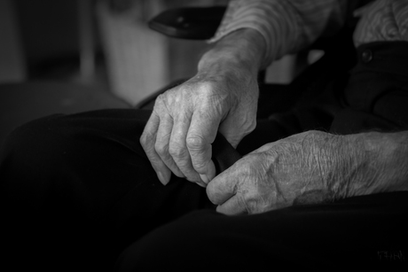 Alzheimer: "Last Grip"