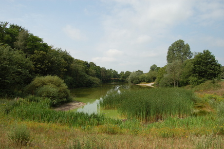 Staatsbos gebied Gieten