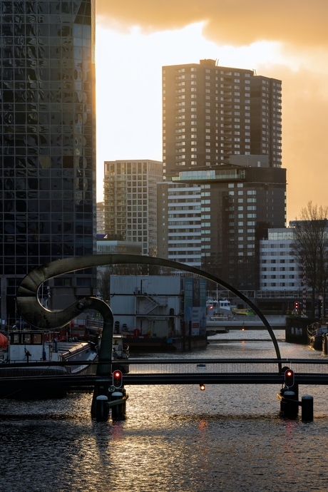 Rotterdam Sunset