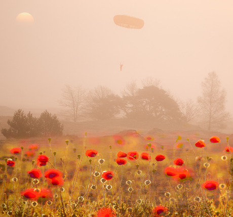 Symboliek / Zeggenschap