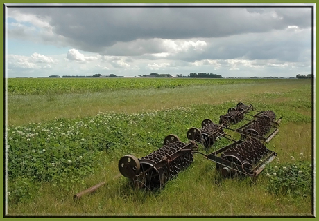 Groninger landschap