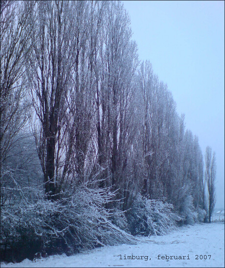 Limburgs winterplaatje