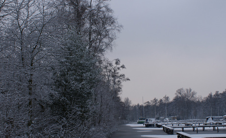 haven in de winter