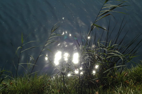 eindelijk het zonnetje