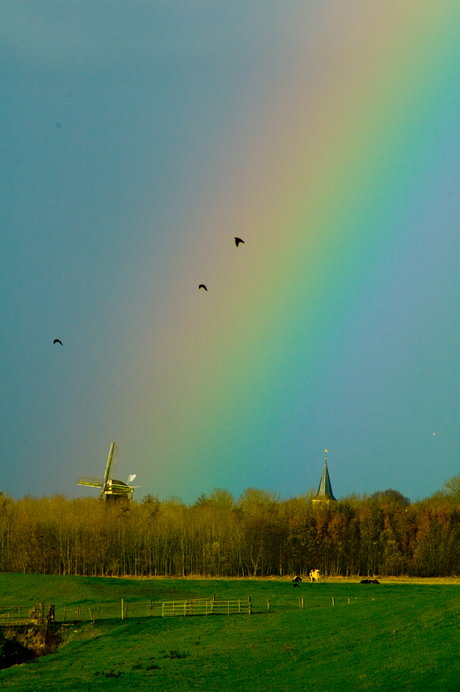 de pot met goud