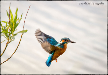 In flight