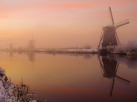 Molens Kinderdijk in de mist