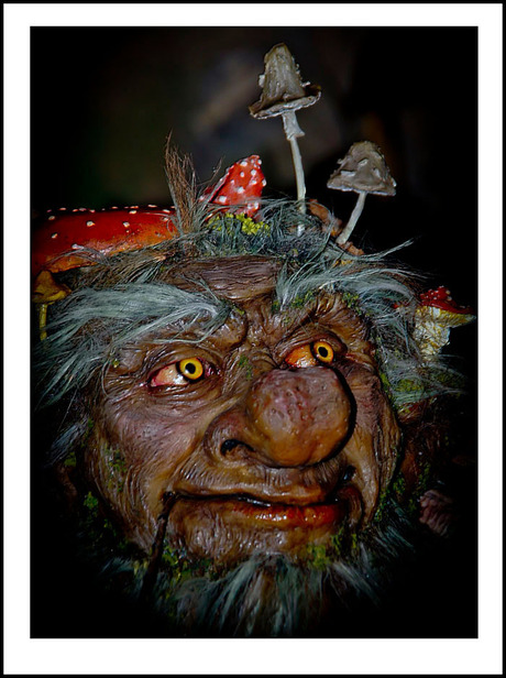 paddenstoelen............................