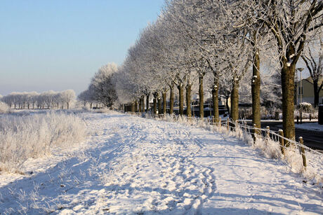 naast de weg