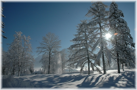 Zonnig wintertje