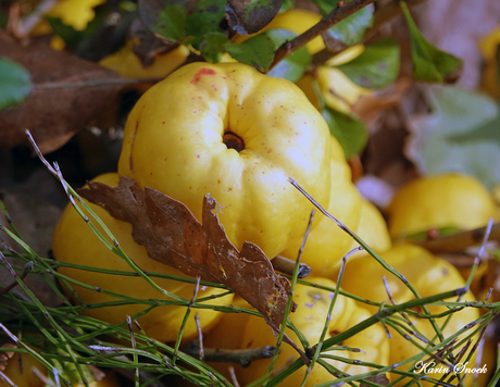 "Herfsttafereeltje..."