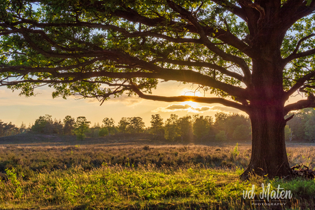 Zonsondergang Renderklippen - Heerde (NL)