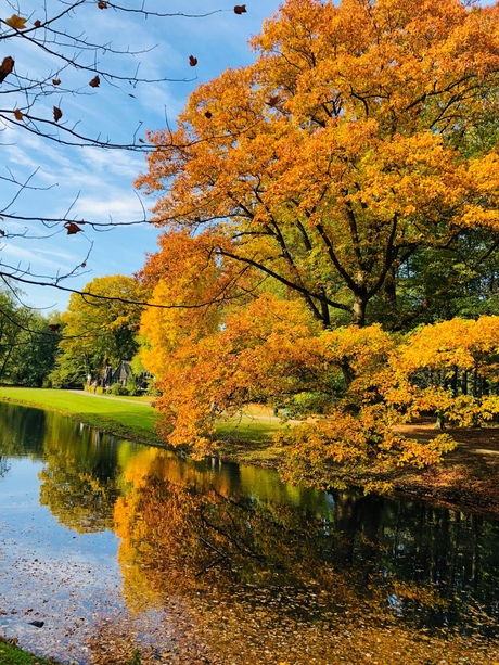 Kleuren en de natuur