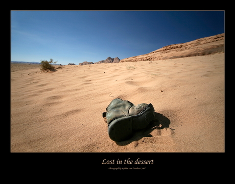 Lost in the dessert