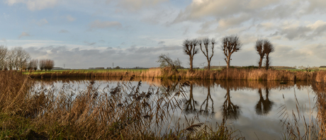 Kolk Oude Schans