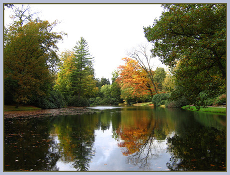 Nog meer herfst