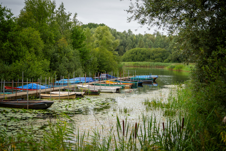 Haven in natuurgebied