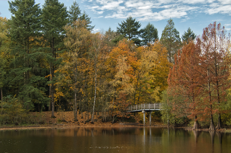 Op en top herfst in Tilburg
