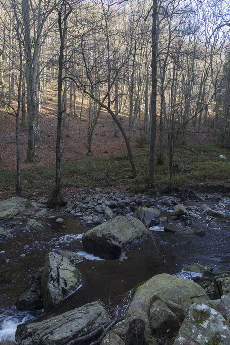 Herfst in Ardennen