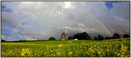 Regenboog