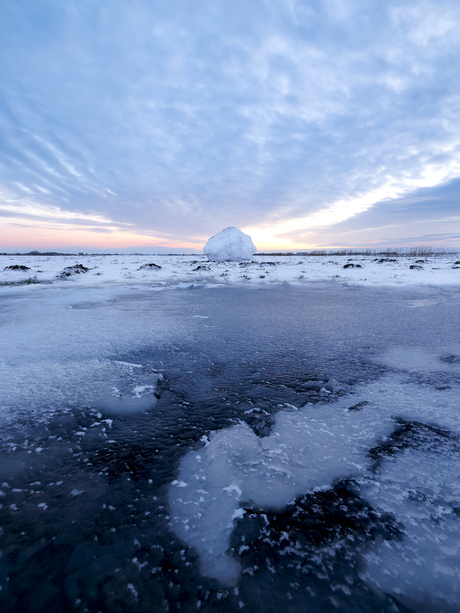 Sneeuwbal 