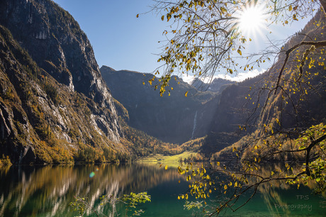 Obersee