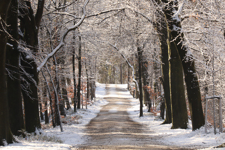 Sneeuw in maart