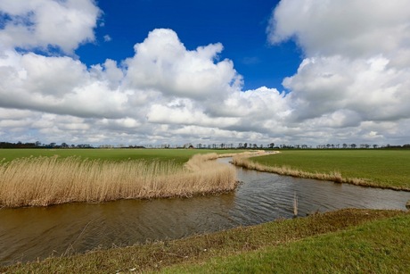 Friesland