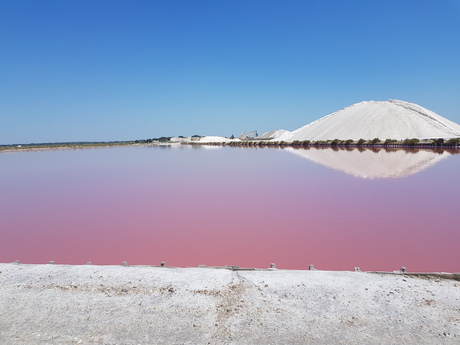 Roze meer, Zuid Frankrijk