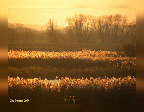 Natuurlijk sepia