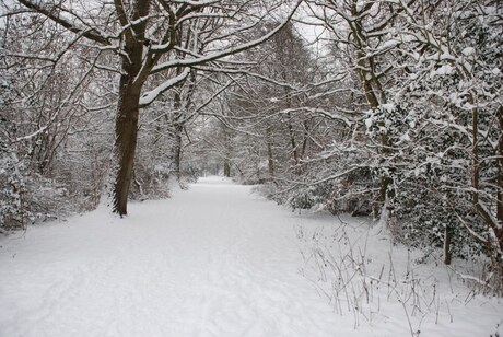 Winter Delftse Hout 2010