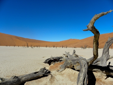 Sossusvlei