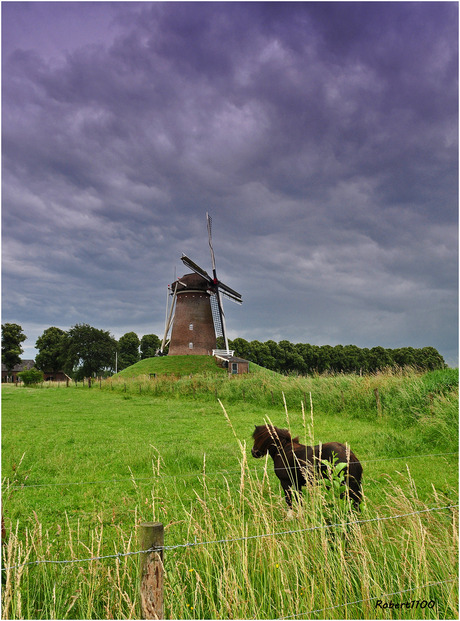 Daarbij die molen...