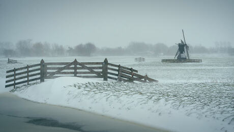 Polder in de winter