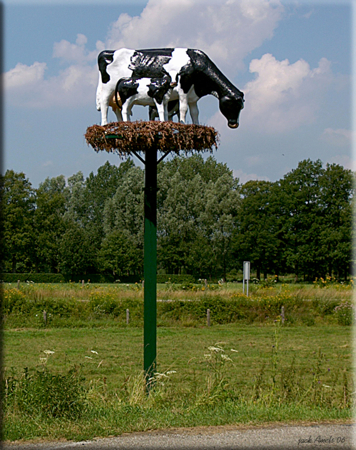 voorraad sympathie Renovatie Nest met koeien - foto van jhamels_zoom - Diversen - Zoom.nl