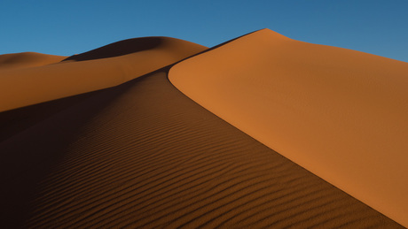 Woestijn duinen