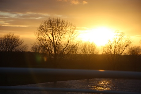 Zon aan de Maas