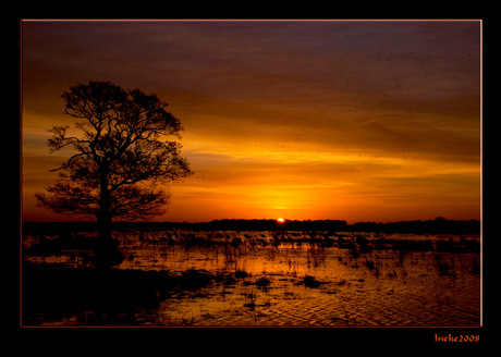 Zonsopkomst in Drenthe