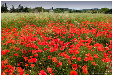 Provence....