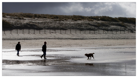 Winterstrandwandeling