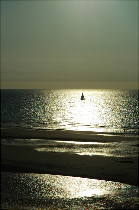 Sailing in the sunlight...